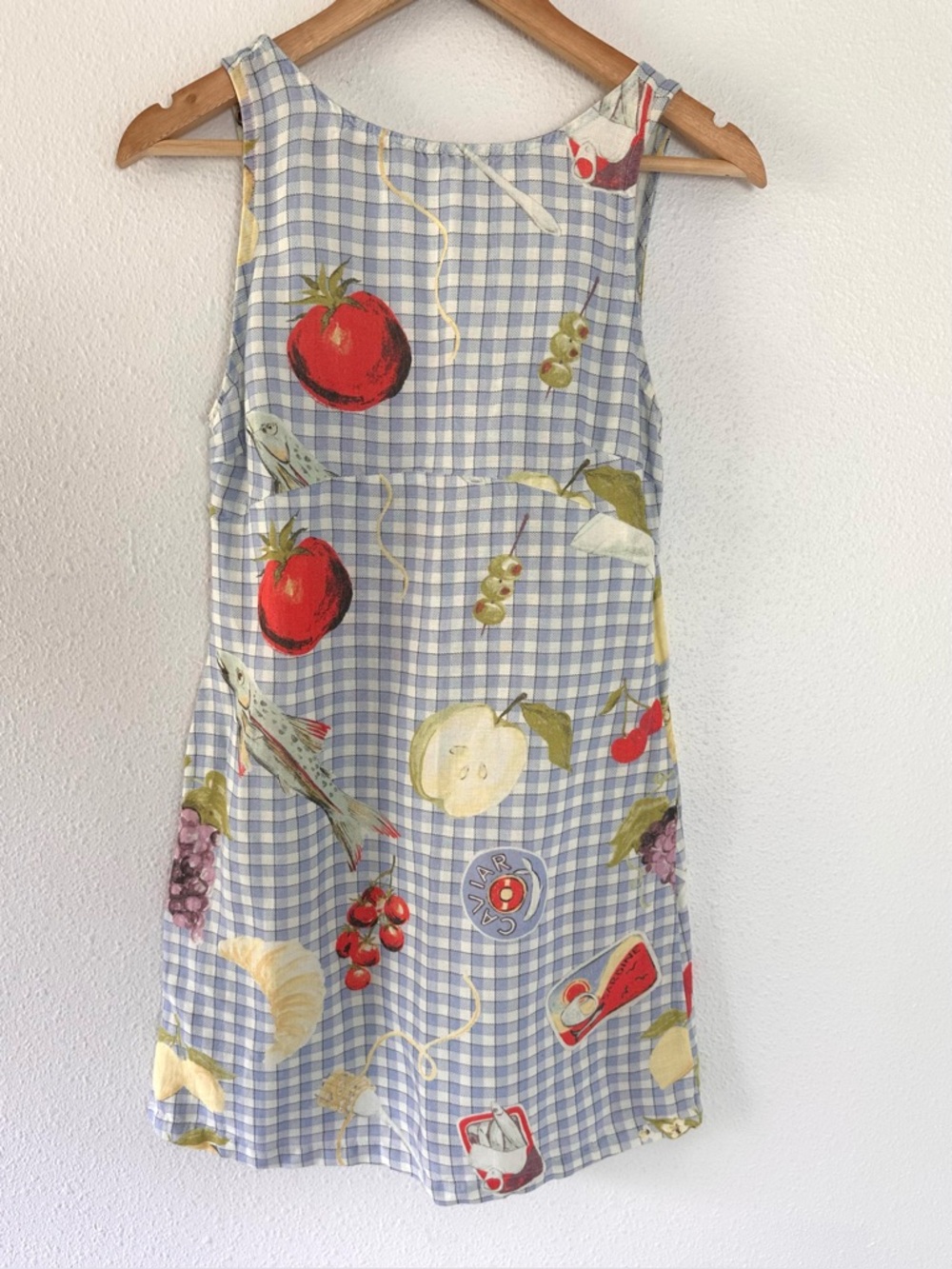 Urban Outfitters Blue Gingham Fruit Print Sleeveless Dress